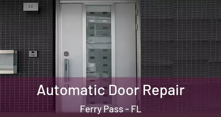 Automatic Door Repair Ferry Pass - FL