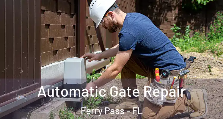 Automatic Gate Repair Ferry Pass - FL