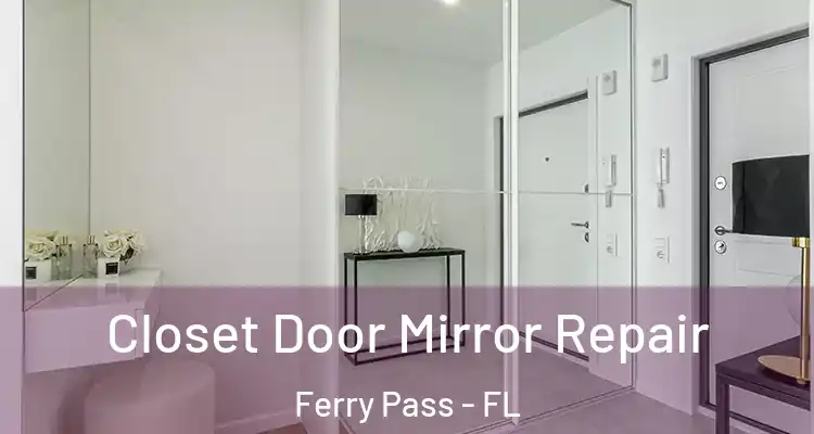 Closet Door Mirror Repair Ferry Pass - FL