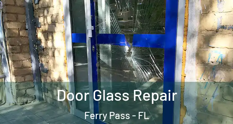 Door Glass Repair Ferry Pass - FL