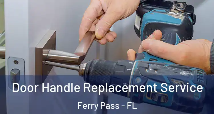 Door Handle Replacement Service Ferry Pass - FL