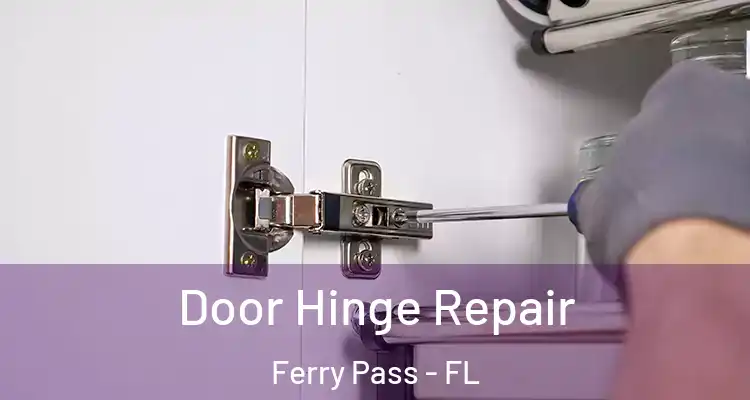 Door Hinge Repair Ferry Pass - FL
