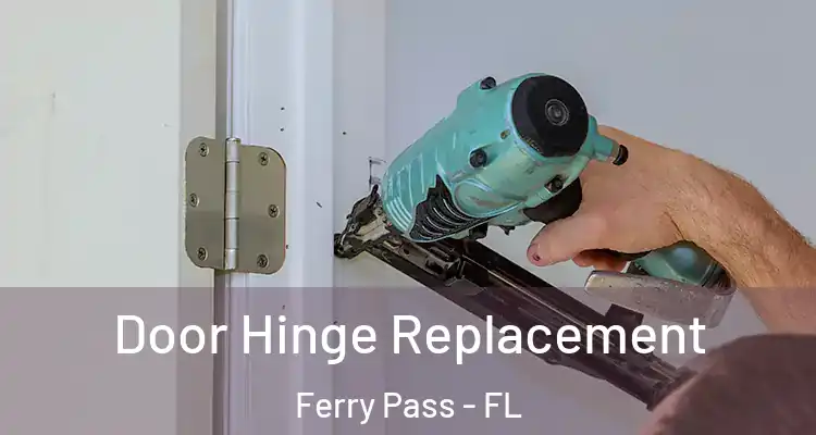 Door Hinge Replacement Ferry Pass - FL