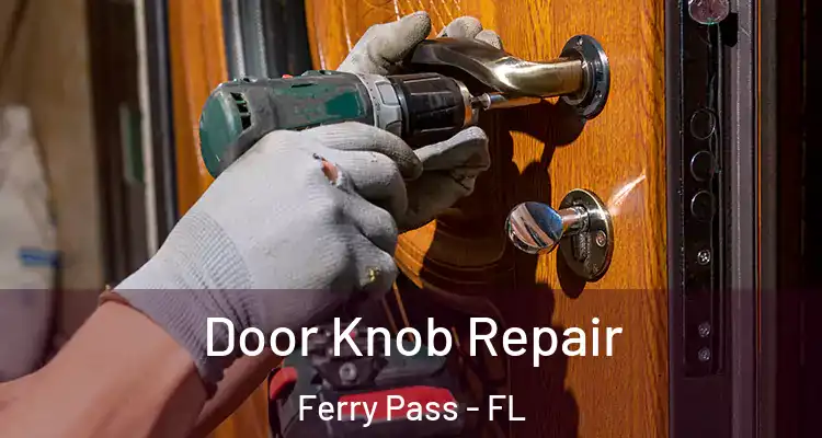 Door Knob Repair Ferry Pass - FL