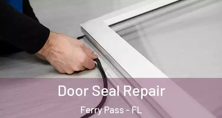 Door Seal Repair Ferry Pass - FL