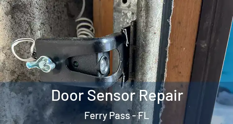 Door Sensor Repair Ferry Pass - FL