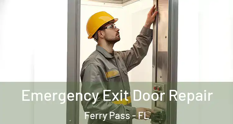 Emergency Exit Door Repair Ferry Pass - FL