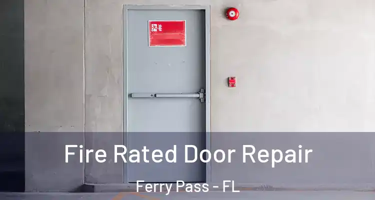 Fire Rated Door Repair Ferry Pass - FL