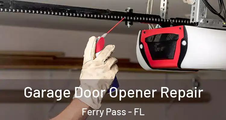 Garage Door Opener Repair Ferry Pass - FL