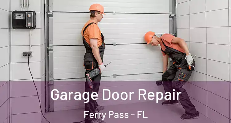 Garage Door Repair Ferry Pass - FL