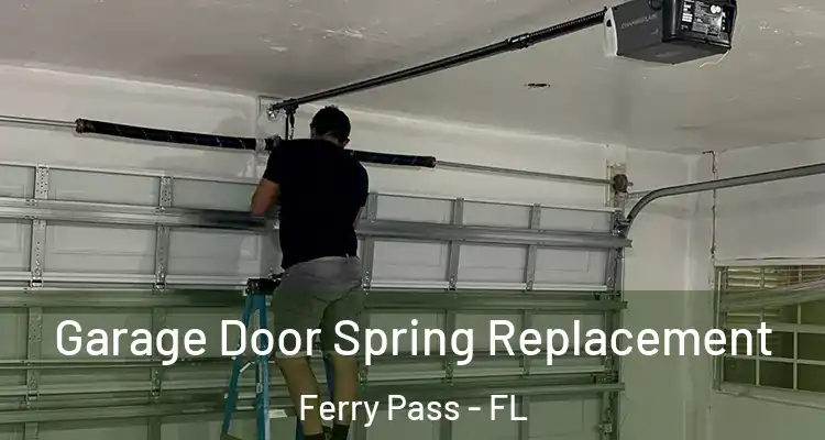 Garage Door Spring Replacement Ferry Pass - FL