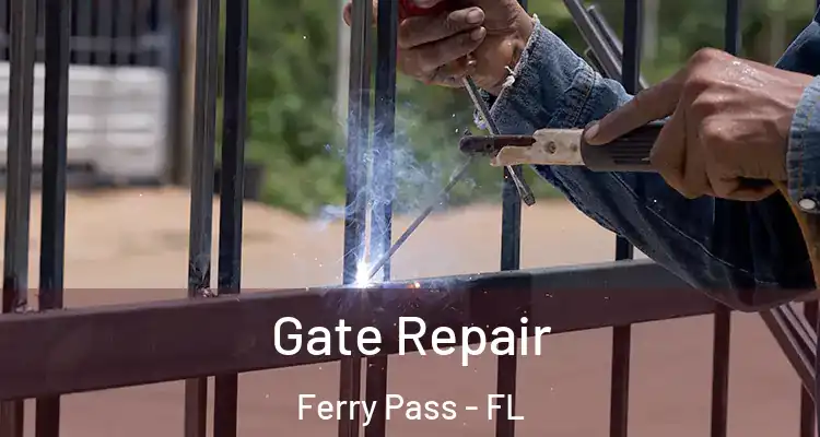 Gate Repair Ferry Pass - FL