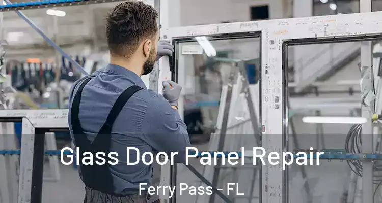 Glass Door Panel Repair Ferry Pass - FL