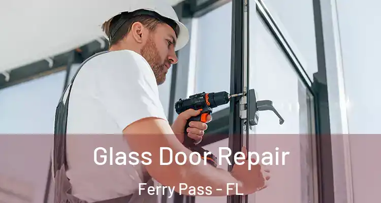 Glass Door Repair Ferry Pass - FL