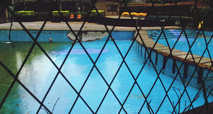 Lanai Screen Repair in Ferry Pass, FL