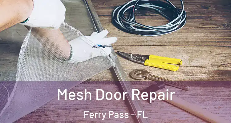Mesh Door Repair Ferry Pass - FL