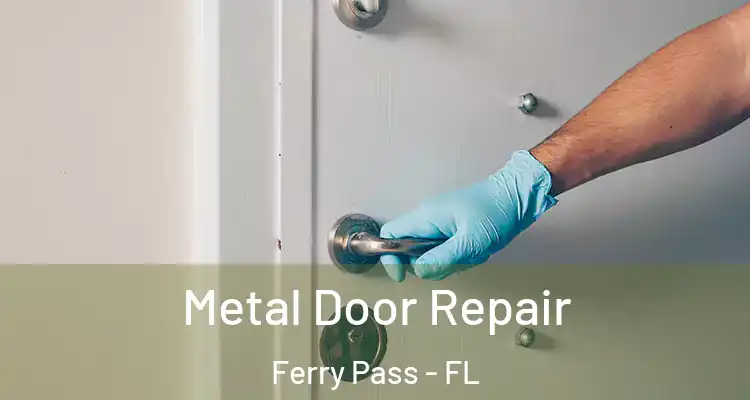 Metal Door Repair Ferry Pass - FL