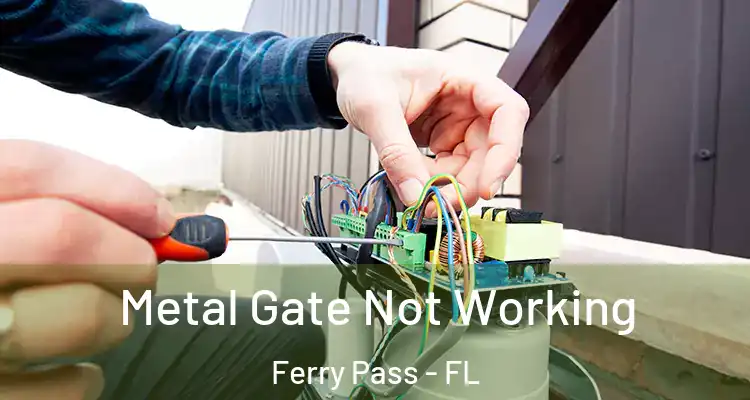 Metal Gate Not Working Ferry Pass - FL