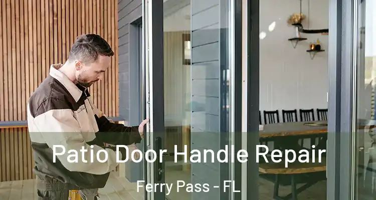 Patio Door Handle Repair Ferry Pass - FL