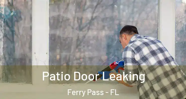 Patio Door Leaking Ferry Pass - FL