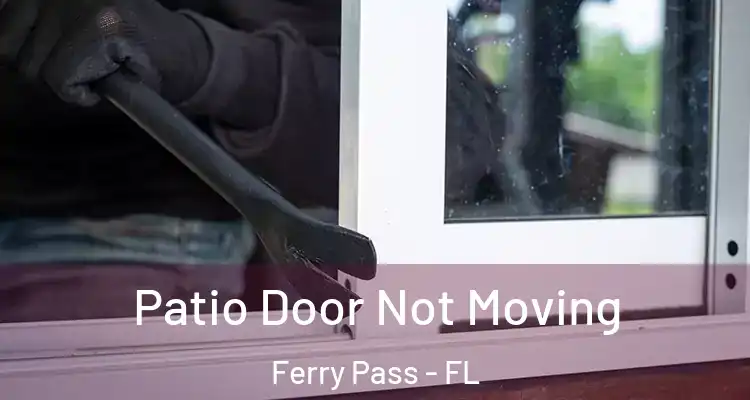 Patio Door Not Moving Ferry Pass - FL