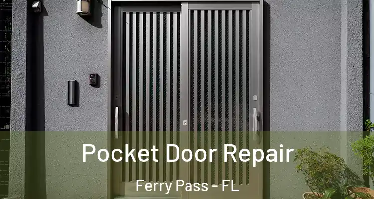 Pocket Door Repair Ferry Pass - FL