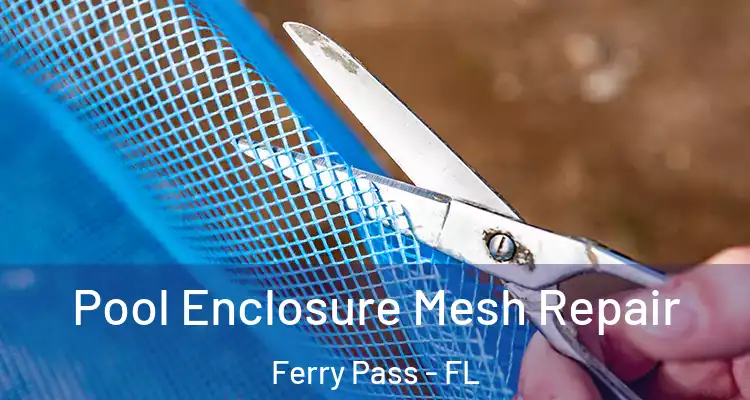 Pool Enclosure Mesh Repair Ferry Pass - FL