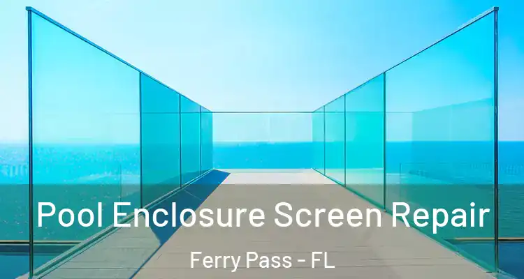 Pool Enclosure Screen Repair Ferry Pass - FL