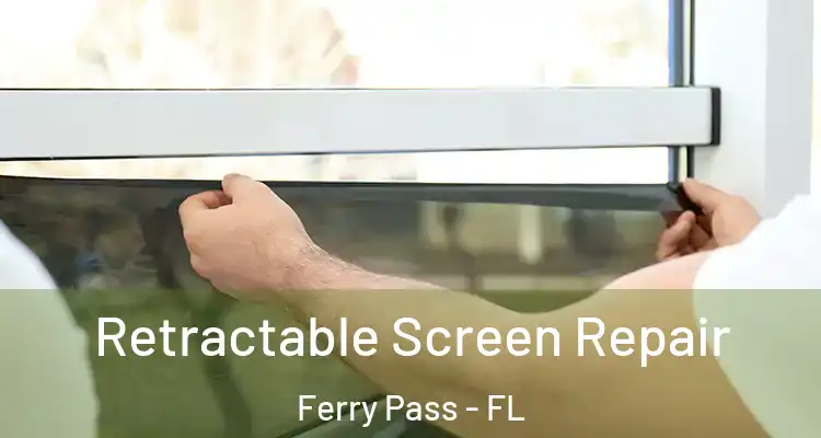 Retractable Screen Repair Ferry Pass - FL