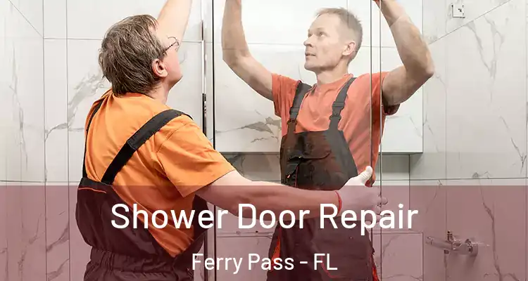 Shower Door Repair Ferry Pass - FL