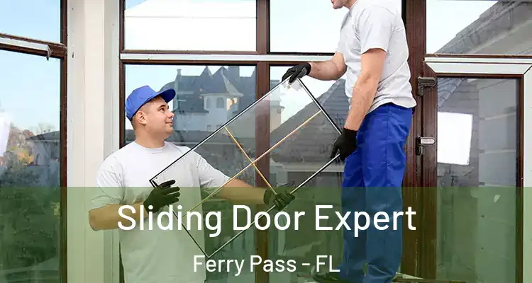 Sliding Door Expert Ferry Pass - FL
