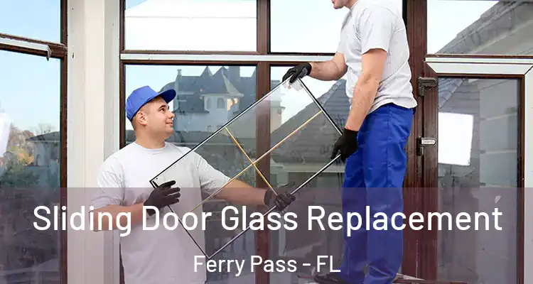 Sliding Door Glass Replacement Ferry Pass - FL