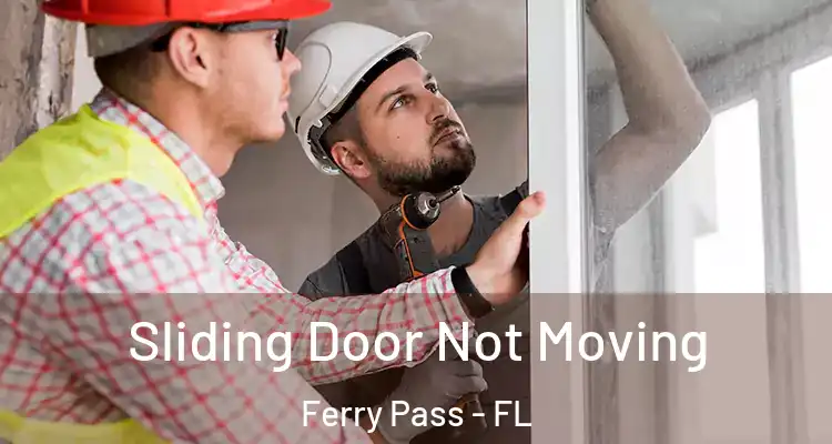 Sliding Door Not Moving Ferry Pass - FL