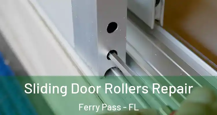 Sliding Door Rollers Repair Ferry Pass - FL