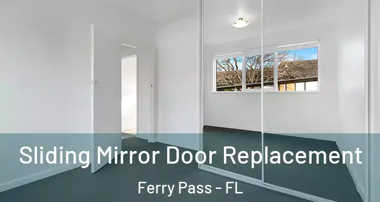 Sliding Mirror Door Replacement Ferry Pass - FL