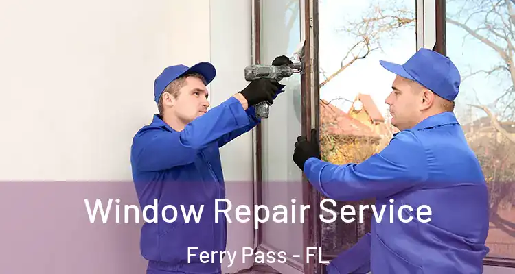 Window Repair Service Ferry Pass - FL