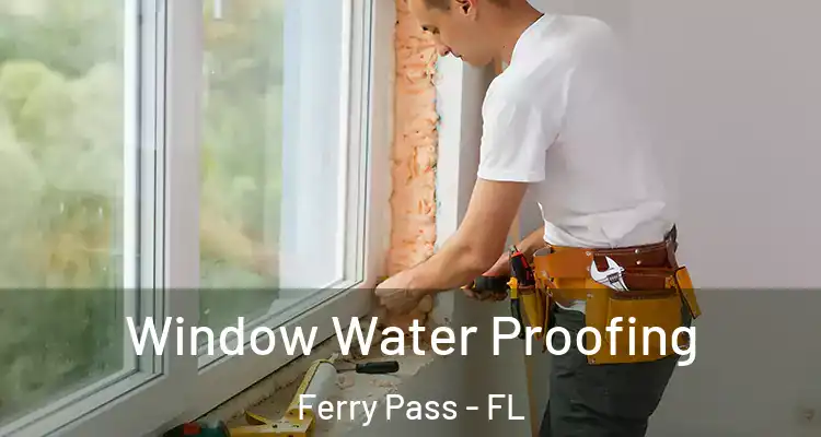 Window Water Proofing Ferry Pass - FL
